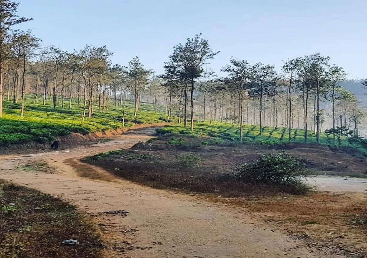 Glad Valley Wayanad By Lexstays-Tea Estate Villa 印度