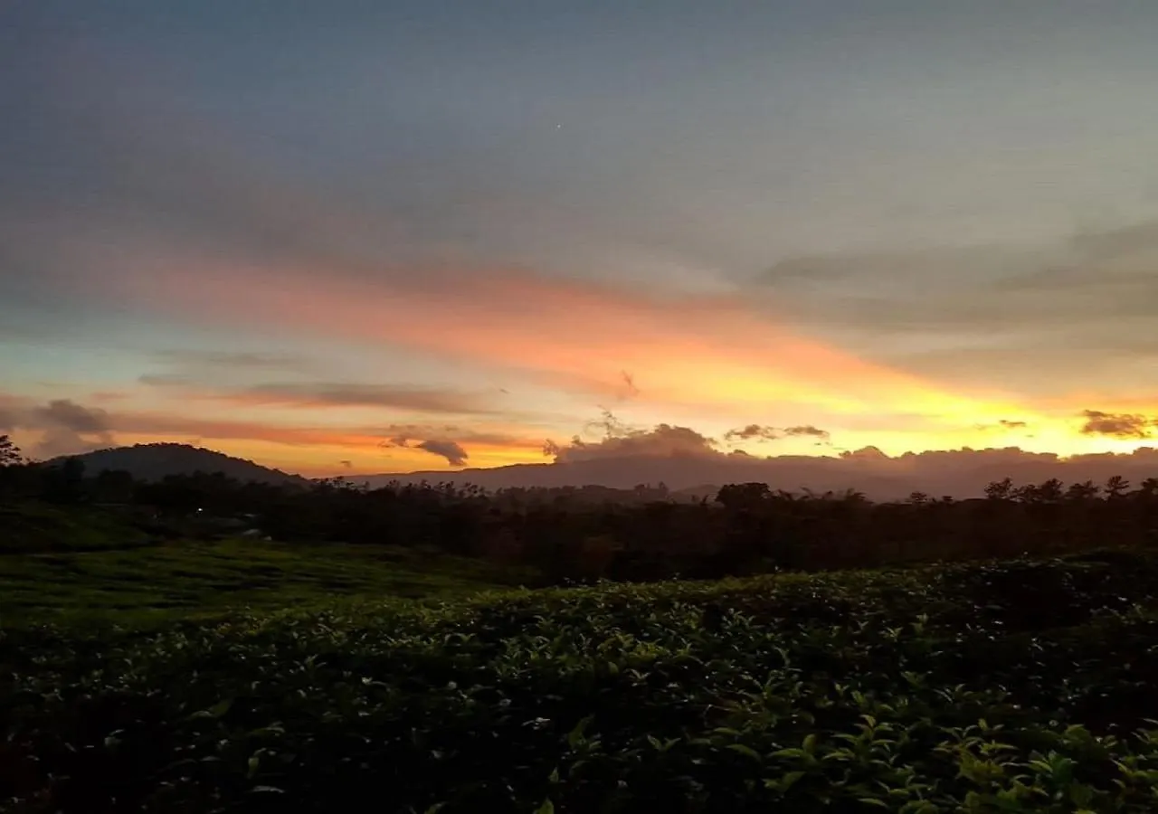 Glad Valley Wayanad By Lexstays-Tea Estate Villa