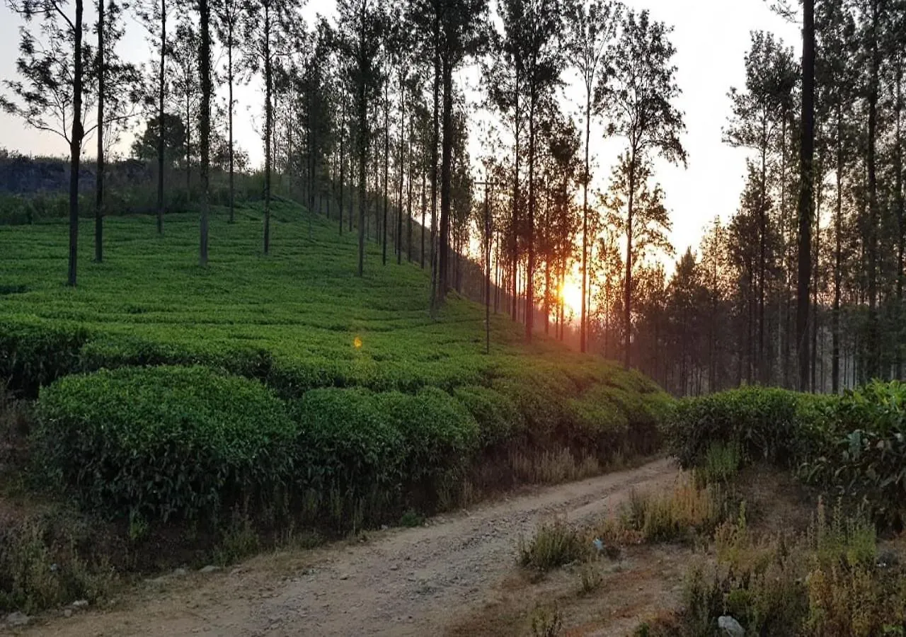 Glad Valley Wayanad By Lexstays-Tea Estate Villa 0*,  印度