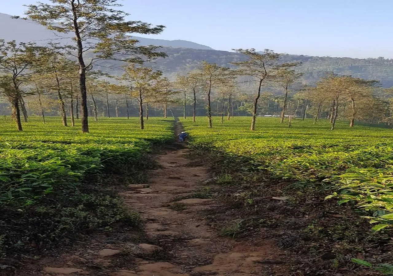 Glad Valley Wayanad By Lexstays-Tea Estate Villa